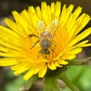 Meet your Posher, Jenna